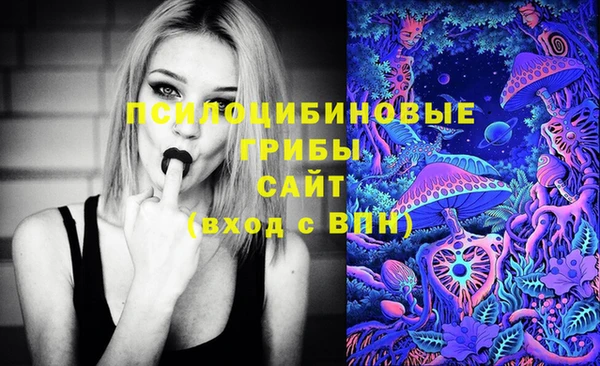каннабис Аркадак