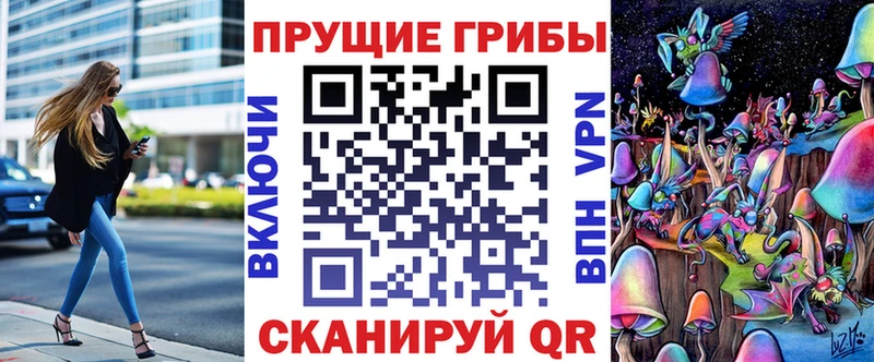 продажа наркотиков  Руза  Псилоцибиновые грибы Psilocybine cubensis 