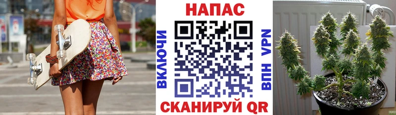 Бошки Шишки THC 21%  даркнет сайт  Руза 